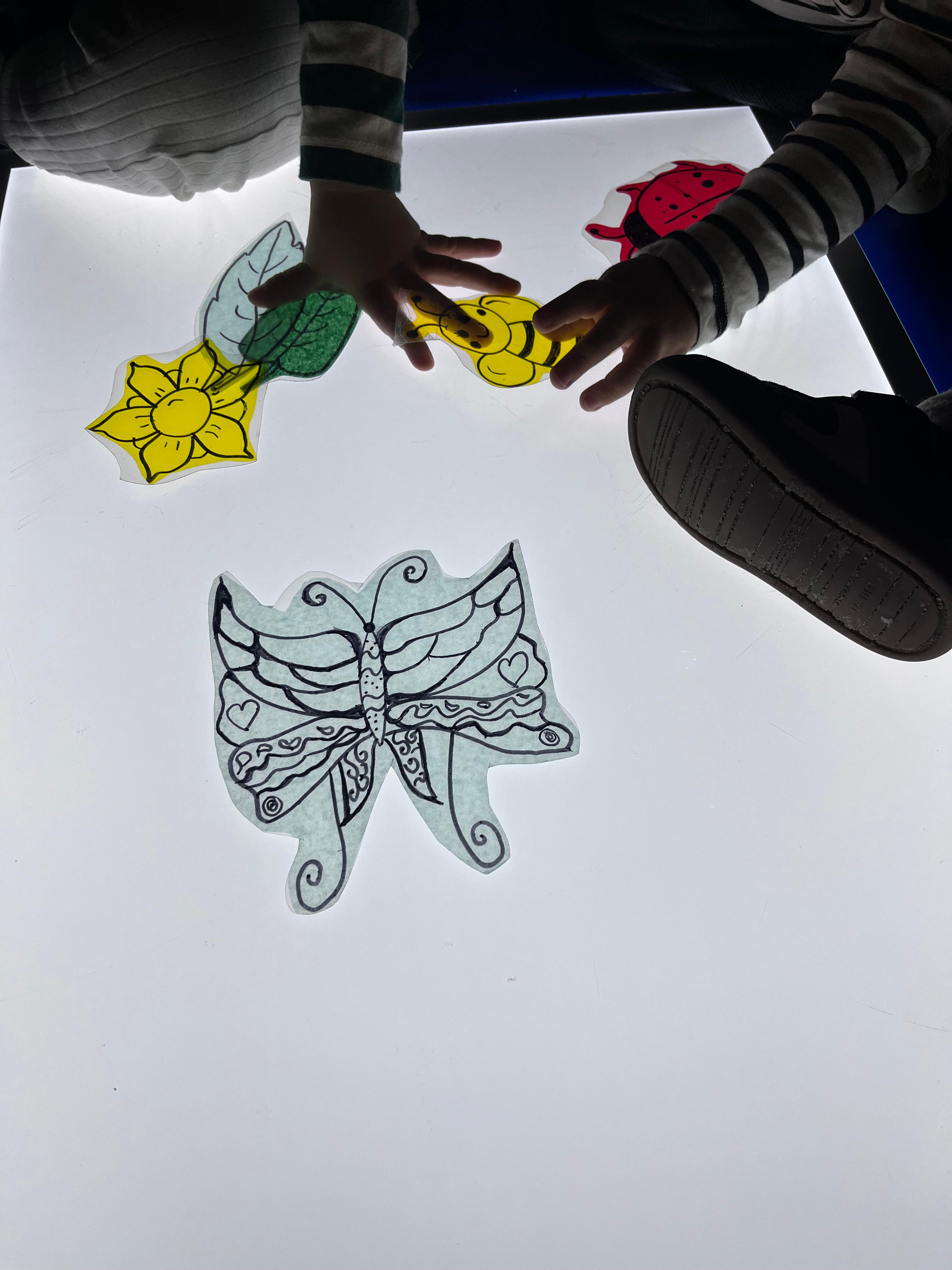 Mesa de luz con mariposas y flores